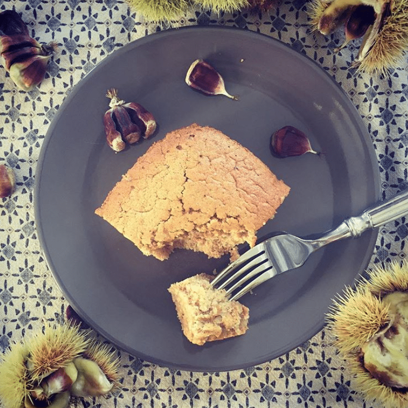 gateau à la farine_chataigne sans_gluten