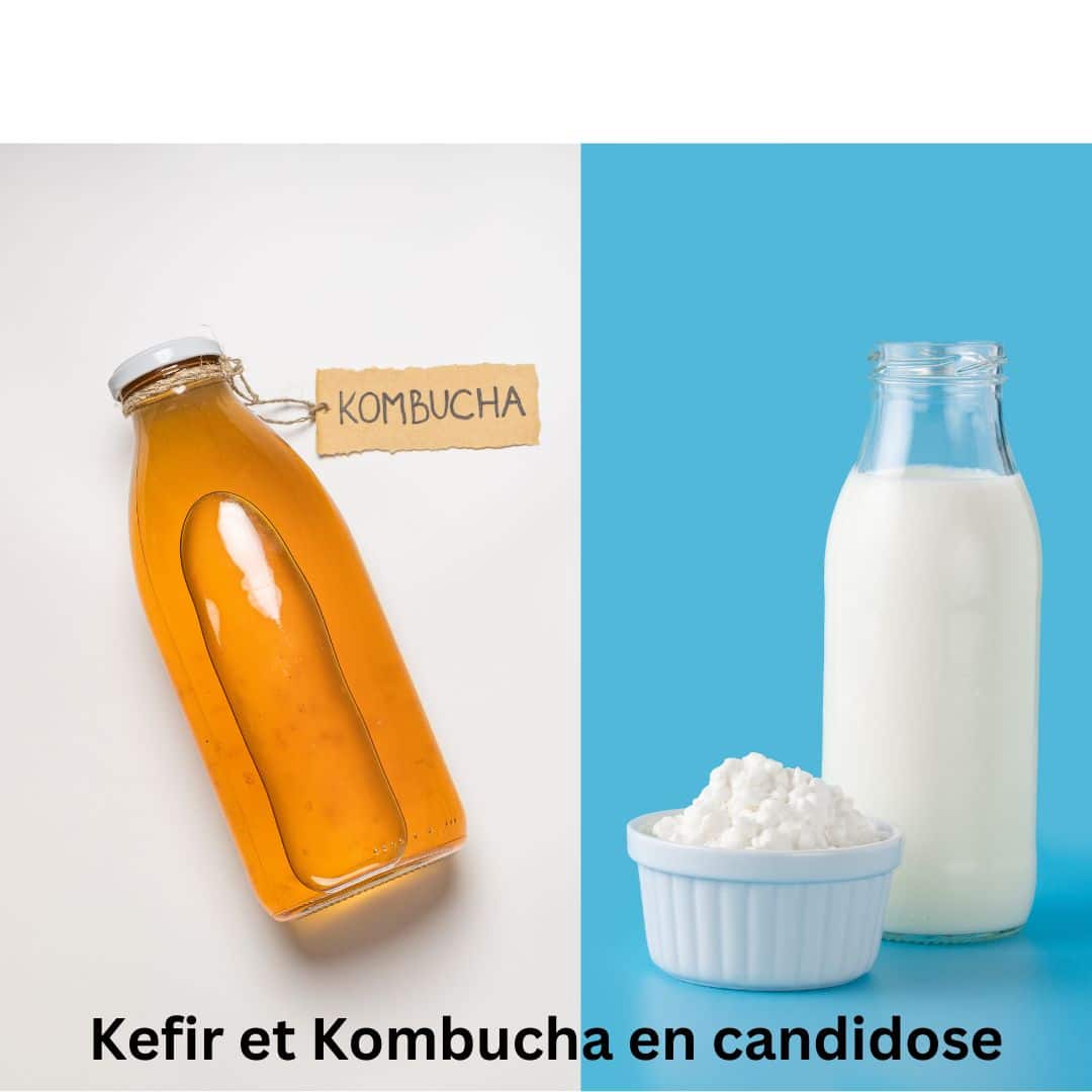 Kefir et Kombucha en candidose