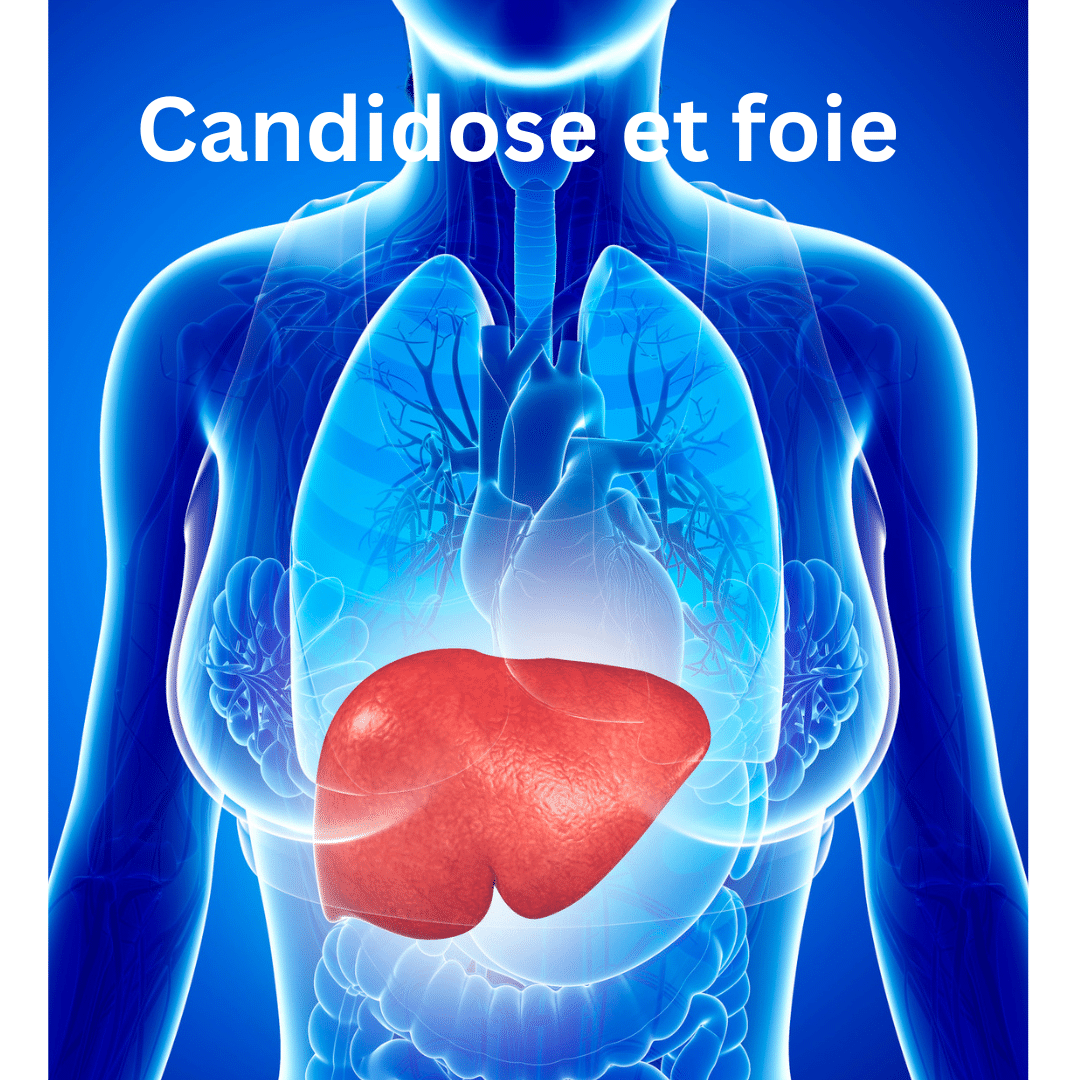 Candidose et foie