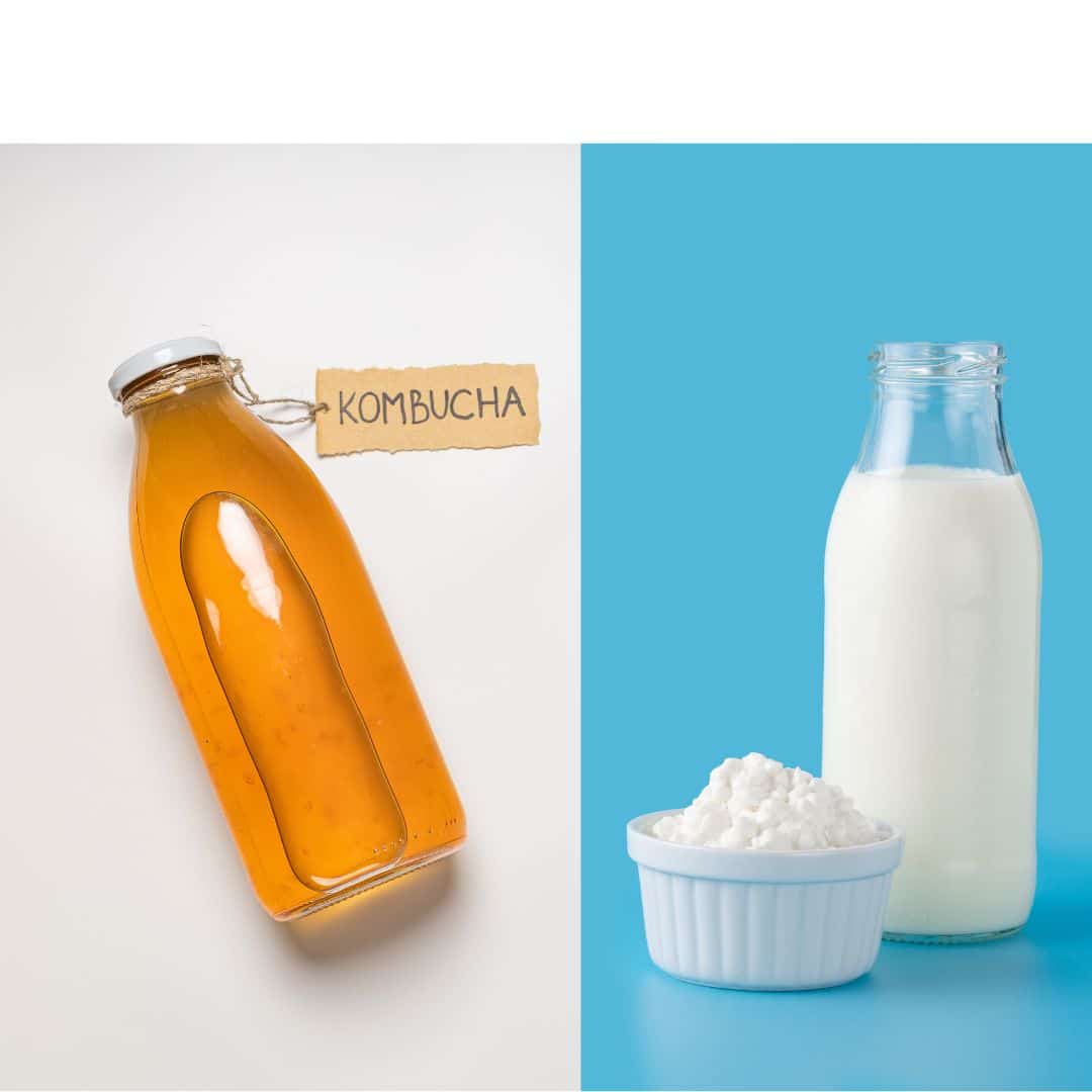 candidiasis kefir kombucha