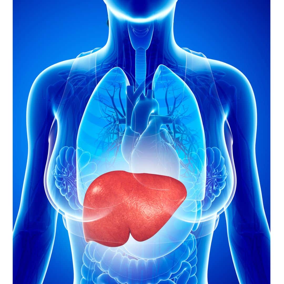 candidiasis y higado