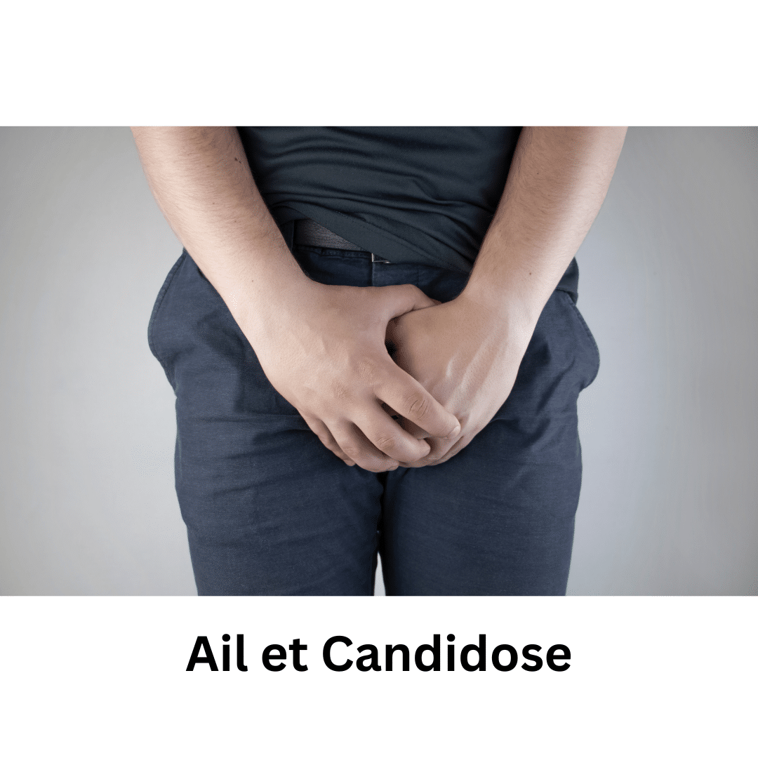 candida albicans homme balanite