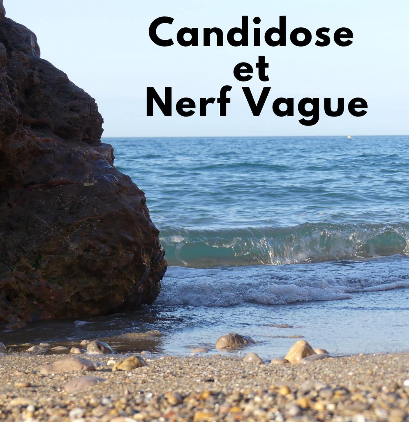 candidose nerf vague dysbiose système nerveux
