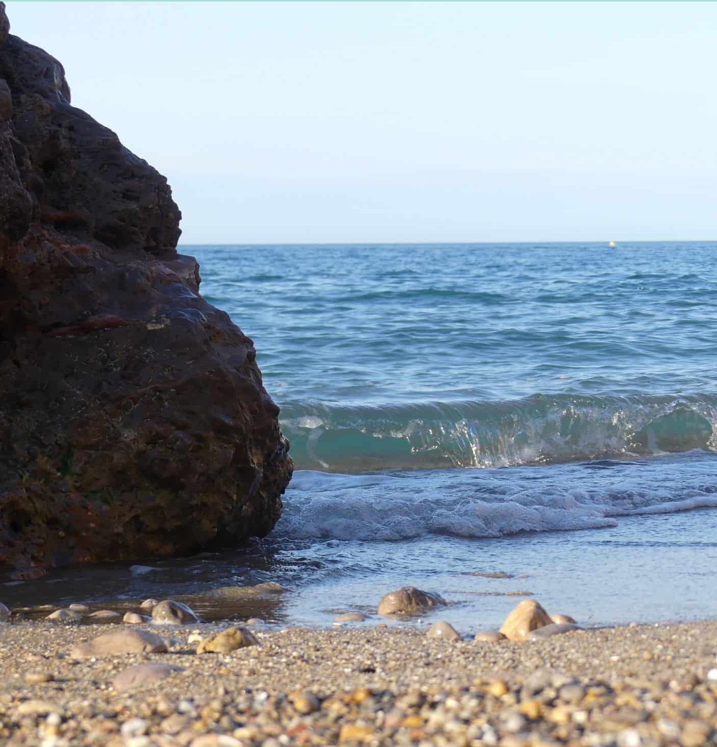 candidose stress nerf vague système nerveux SIBO