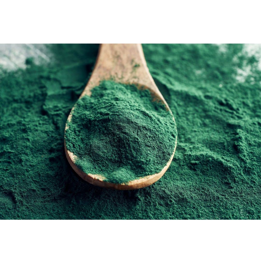 espirulina y candidiasis