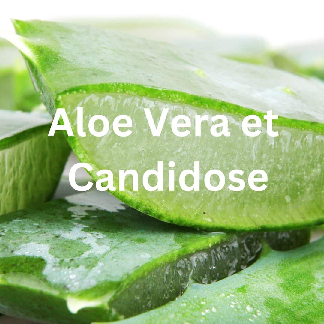 Aloe Vera et Candidose