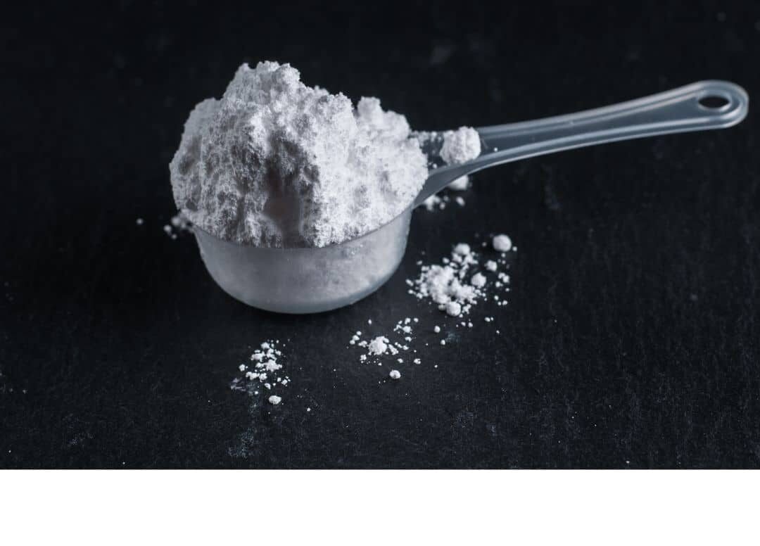 Glutamine et candidose, L-glutamine candida albicans