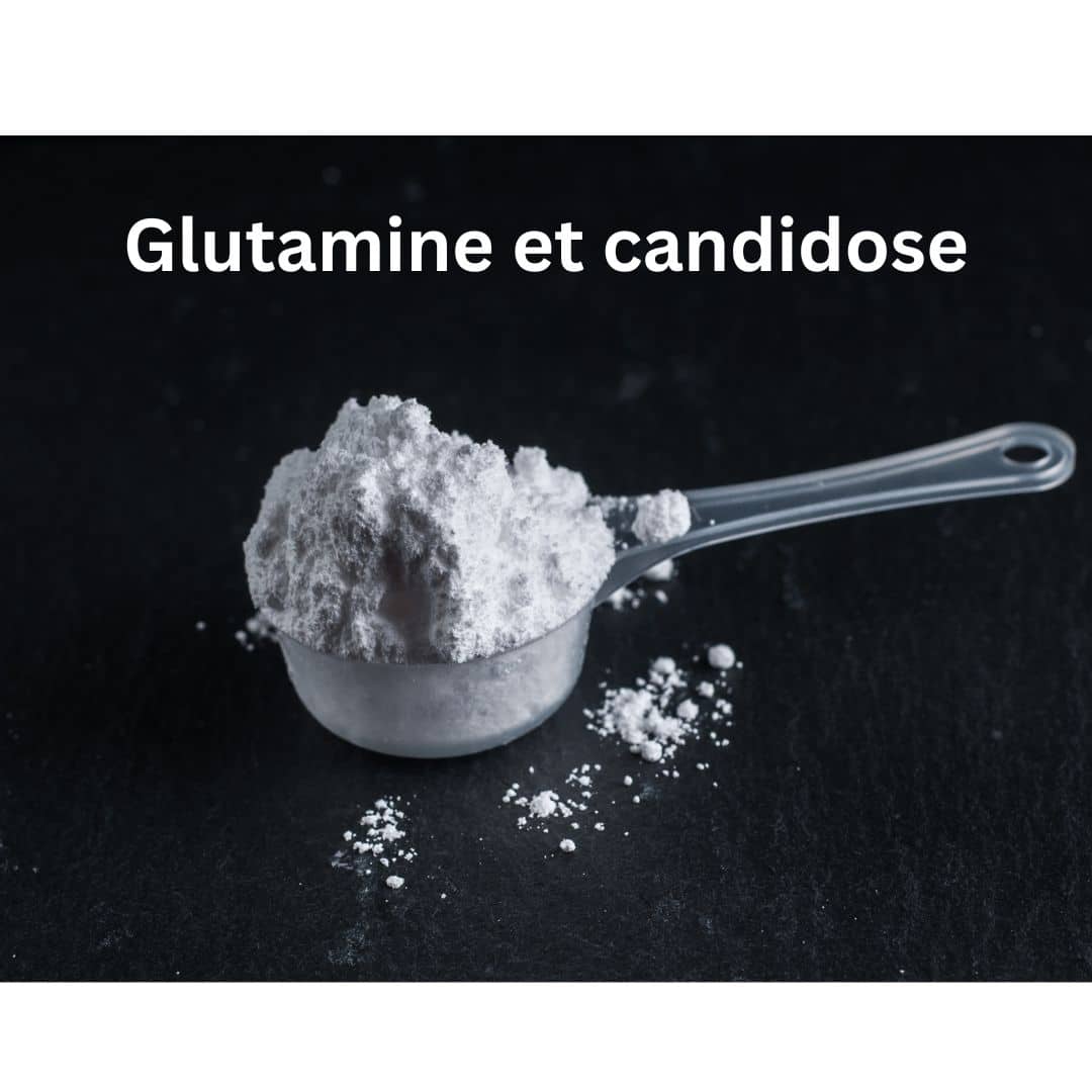 Glutamine et candidose, L-glutamine candida albicans