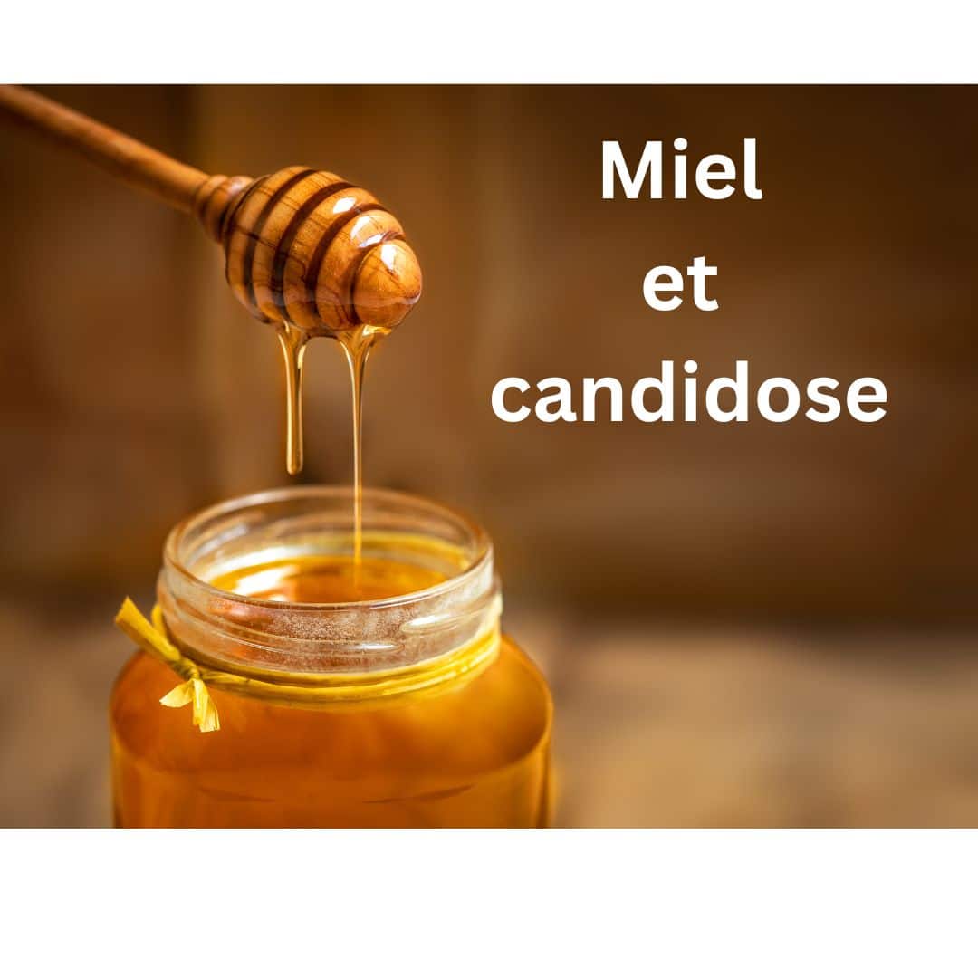 Miel et candidose régime candida albicans
