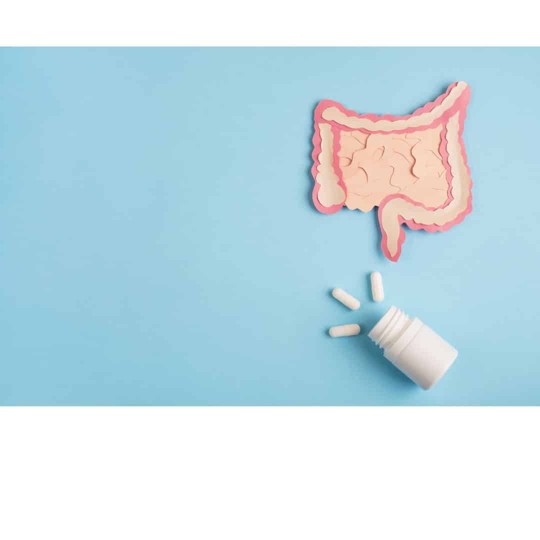 probióticos y candidiasis